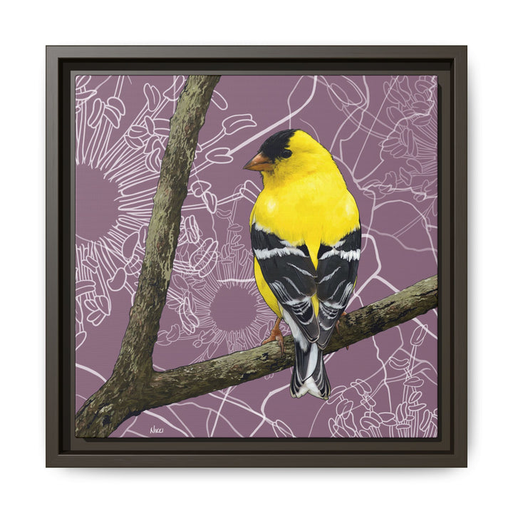 Goldfinch: Washington State Bird — Framed Canvas Print Wall Art