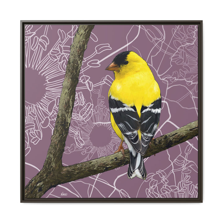 Goldfinch: Washington State Bird — Framed Canvas Print Wall Art