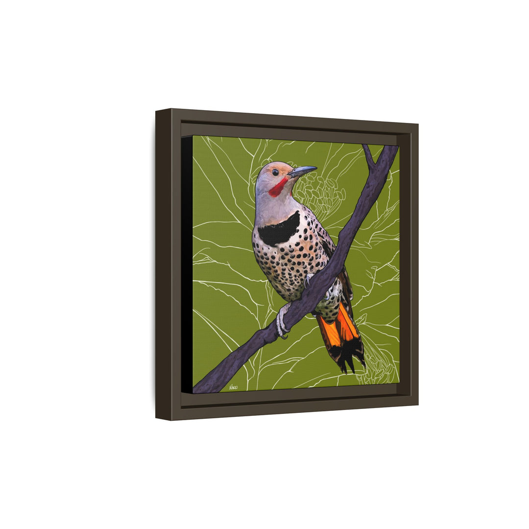 Northern Flicker (Yellowhammer): Alabama State Bird: — Framed Canvas Print Wall Art