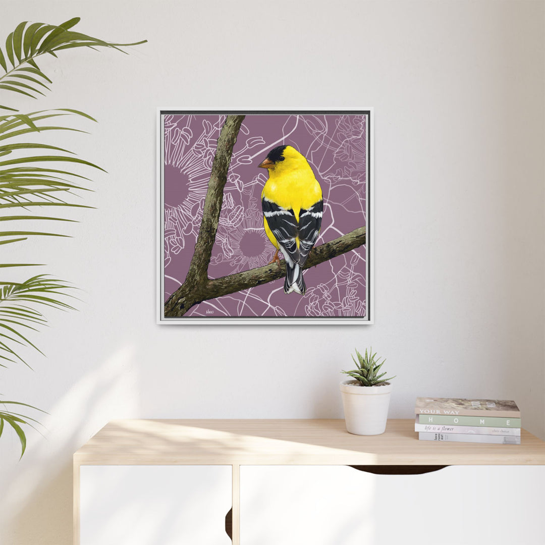 Goldfinch: Washington State Bird — Framed Canvas Print Wall Art