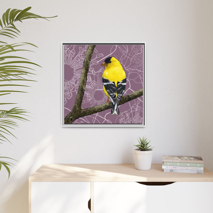 Goldfinch: Washington State Bird — Framed Canvas Print Wall Art