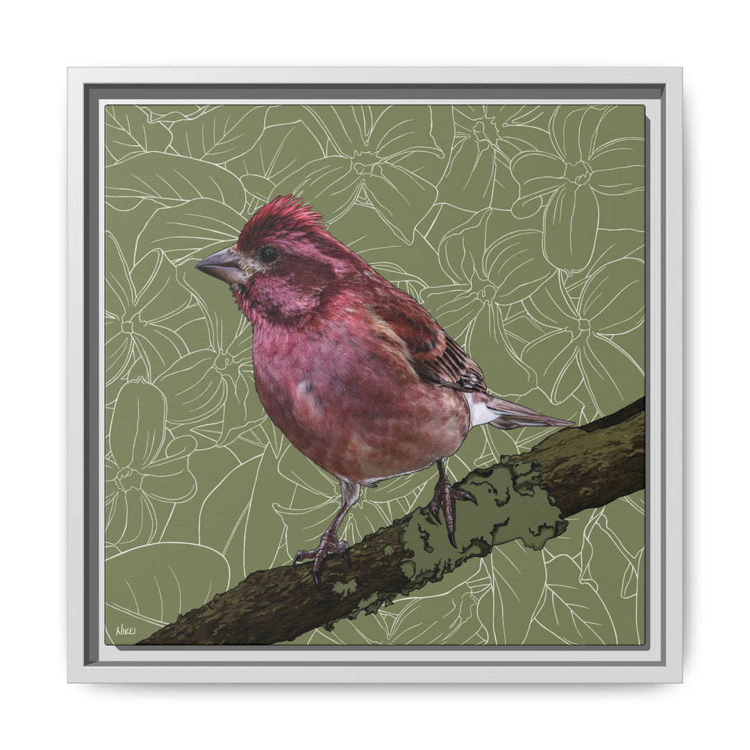 Purple Finch: New Hampshire State Bird — Framed Canvas Print Wall Art