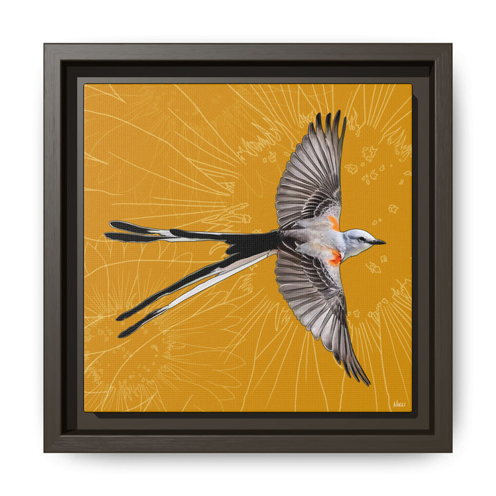 Scissor Tailed Flycatcher: Oklahoma State Bird — Framed Canvas Print Wall Art