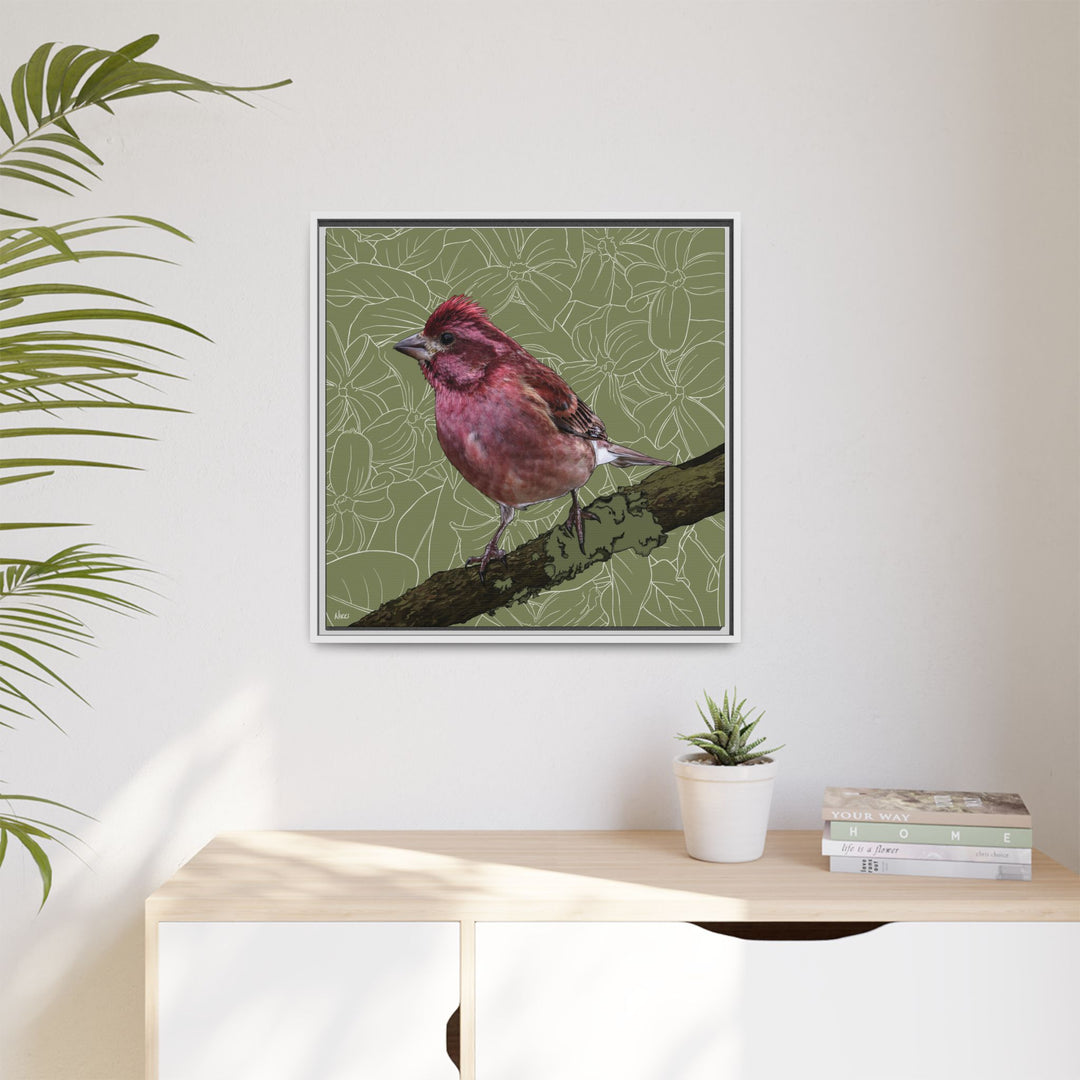Purple Finch: New Hampshire State Bird — Framed Canvas Print Wall Art