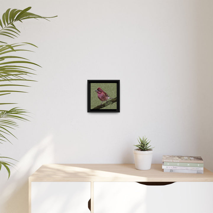 Purple Finch: New Hampshire State Bird — Framed Canvas Print Wall Art