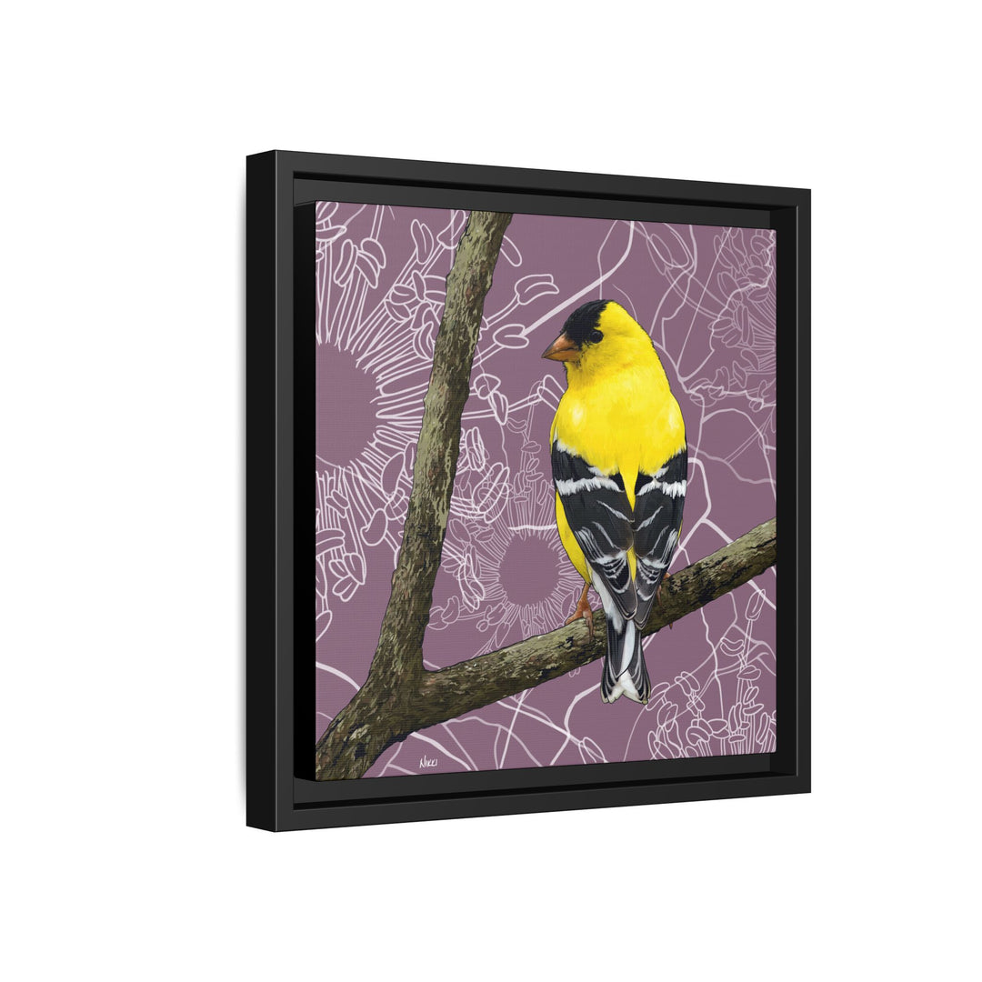 Goldfinch: Washington State Bird — Framed Canvas Print Wall Art