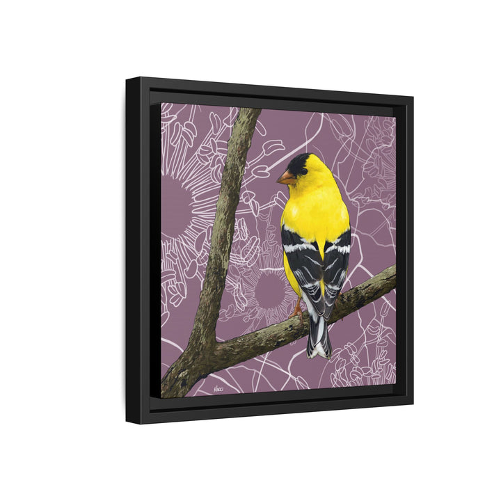 Goldfinch: Washington State Bird — Framed Canvas Print Wall Art