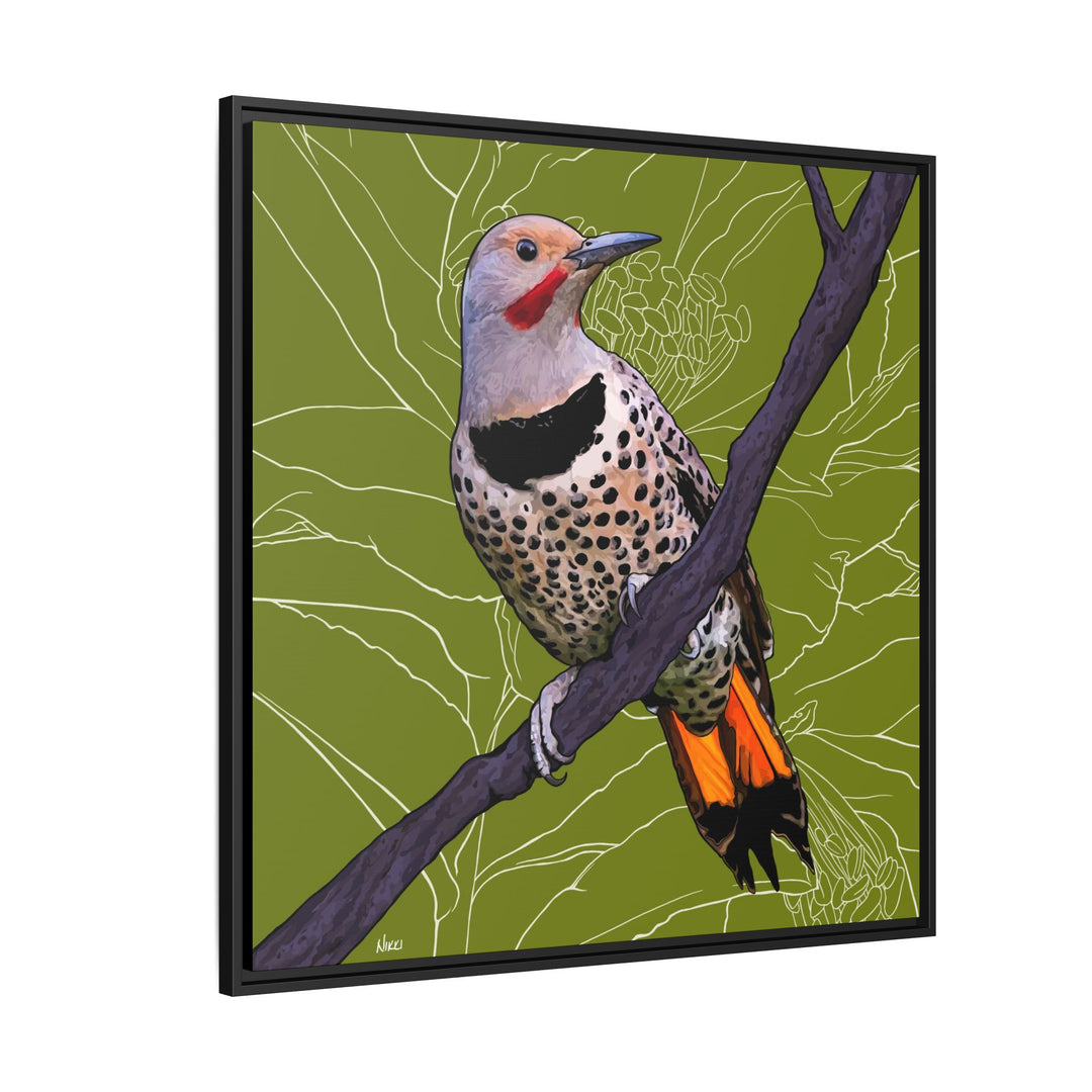 Northern Flicker (Yellowhammer): Alabama State Bird: — Framed Canvas Print Wall Art