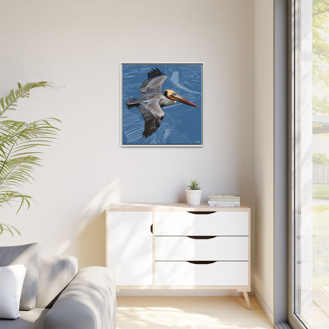 Brown Pelican: Louisiana State Bird  —  Framed Canvas Print