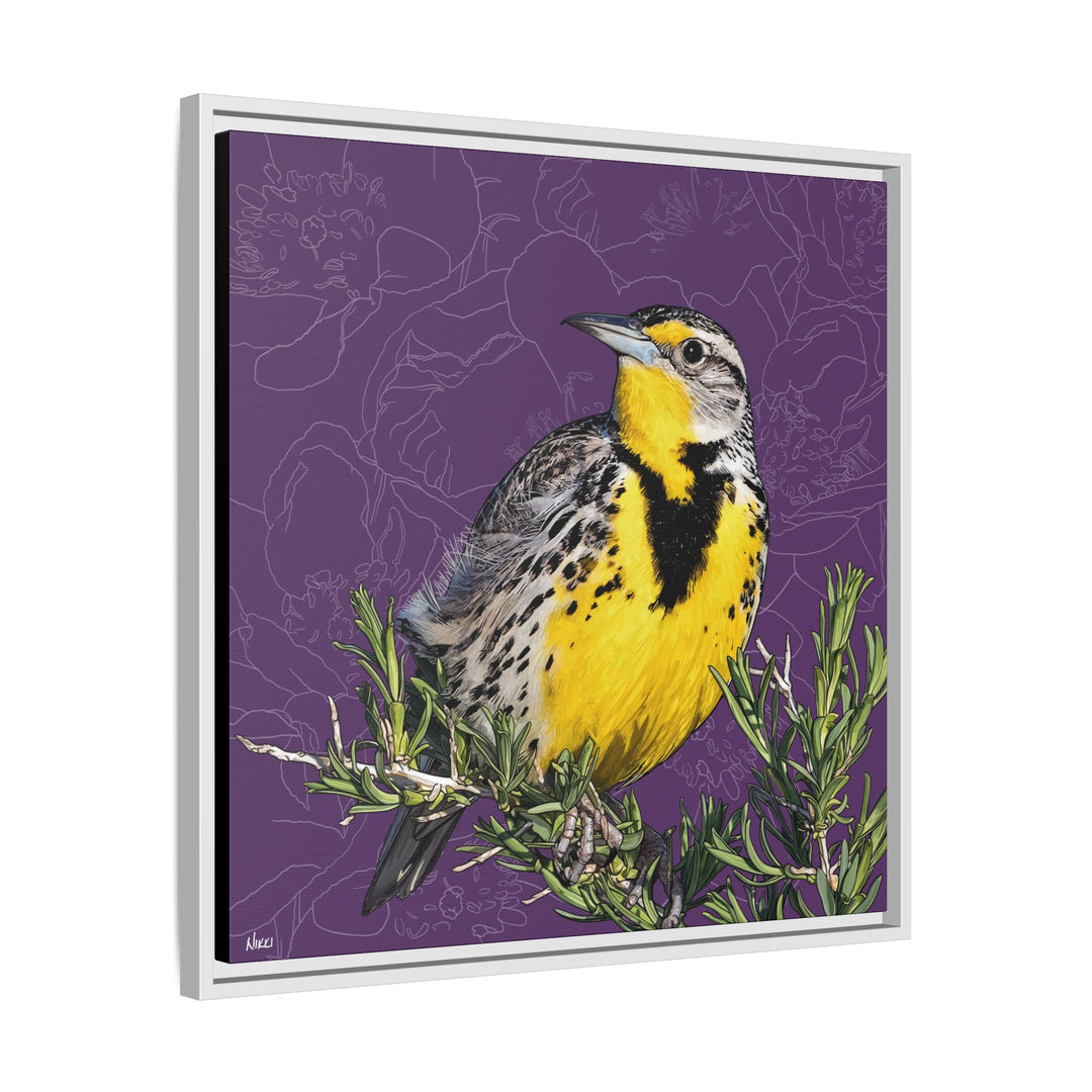 Western Meadowlark: North Dakota State Bird — Framed Canvas Print