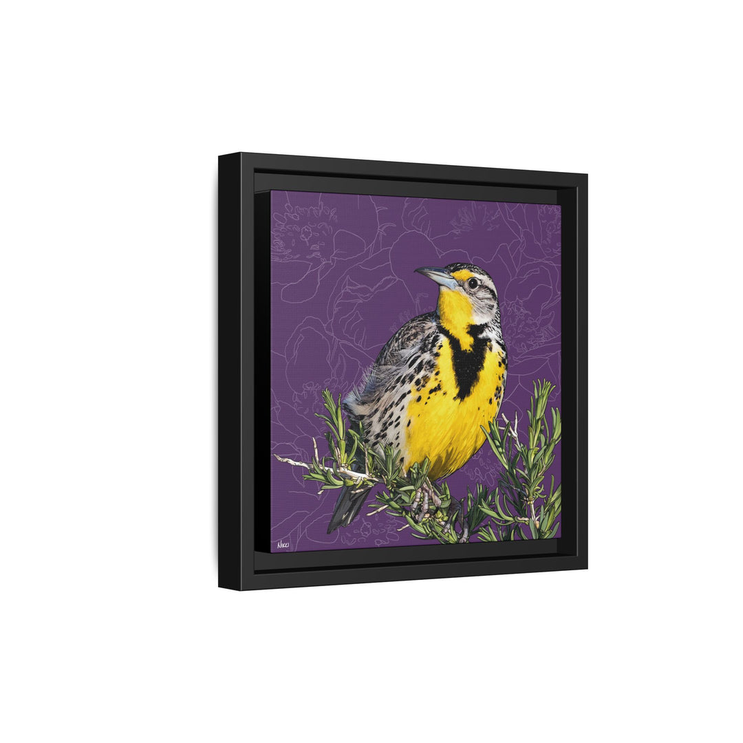 Western Meadowlark: North Dakota State Bird — Framed Canvas Print