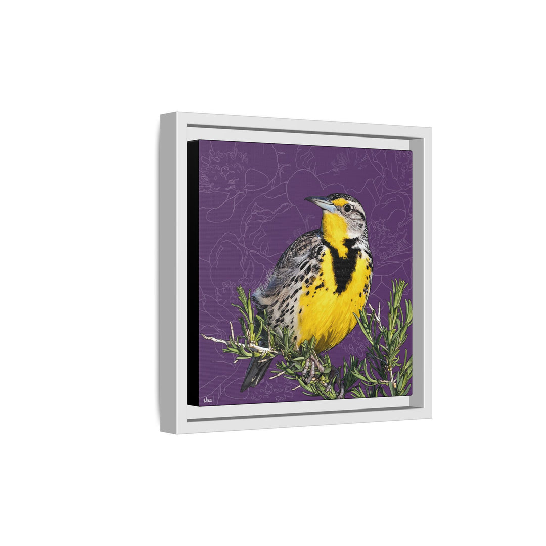 Western Meadowlark: North Dakota State Bird — Framed Canvas Print