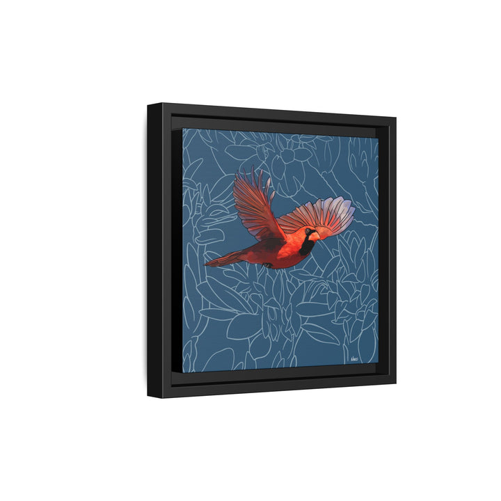 Northern Cardinal: Kentucky State Bird — Framed Canvas Print