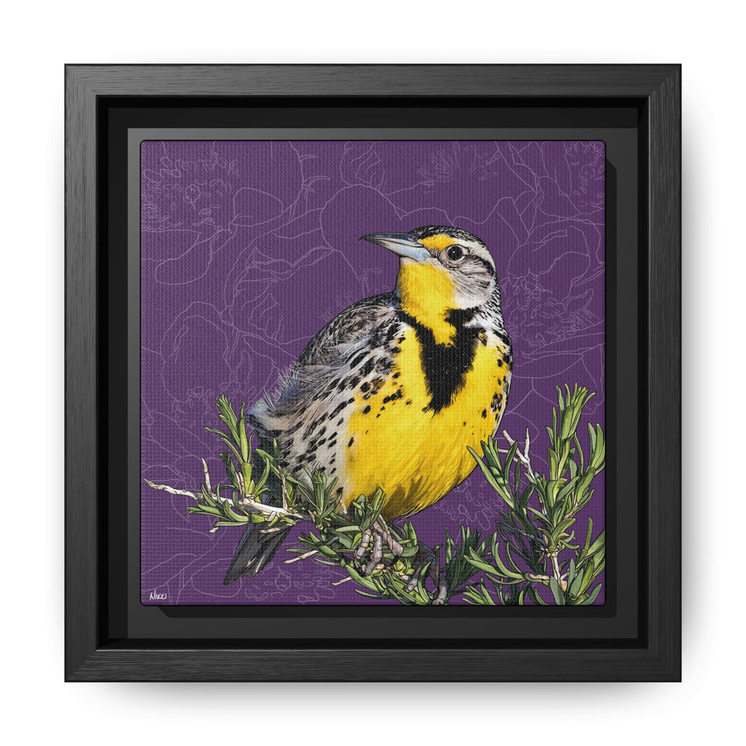 Western Meadowlark: North Dakota State Bird — Framed Canvas Print