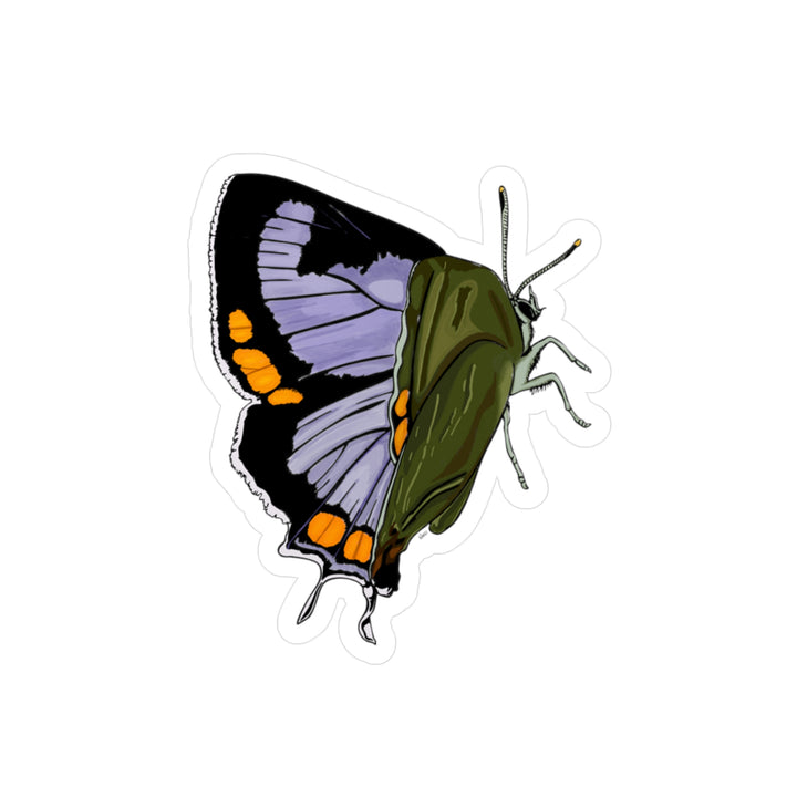 Colorado Hairstreak Butterfly Kiss-Cut Vinyl Sticker — Purple & Orange Decorative Decal