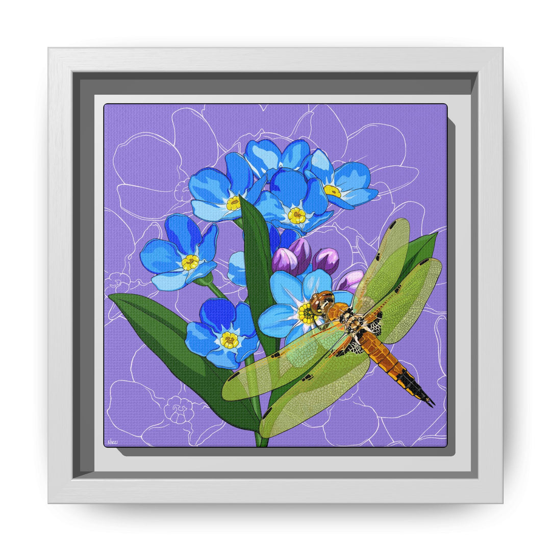 Alaska State Flower + Insect: Forget Me Not + Four-spot Skimmer Dragonfly — Framed Canvas Print Wall Art