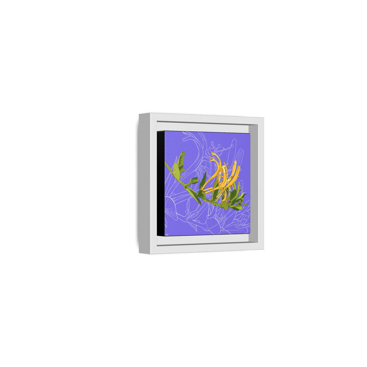 Honeysuckle: June Birth Month Flower — Framed Canvas Print Wall Art