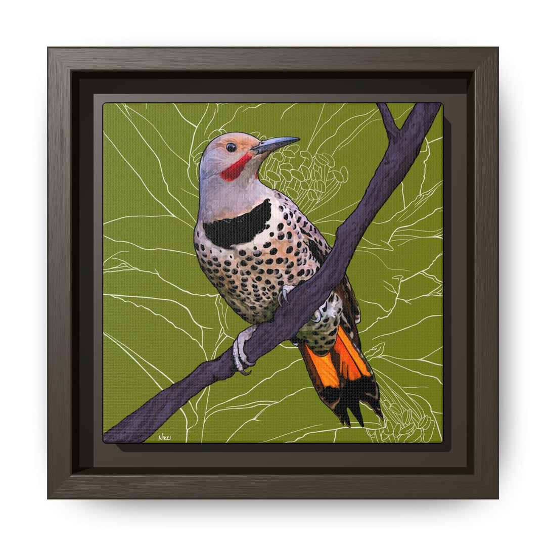 Northern Flicker (Yellowhammer): Alabama State Bird: — Framed Canvas Print Wall Art