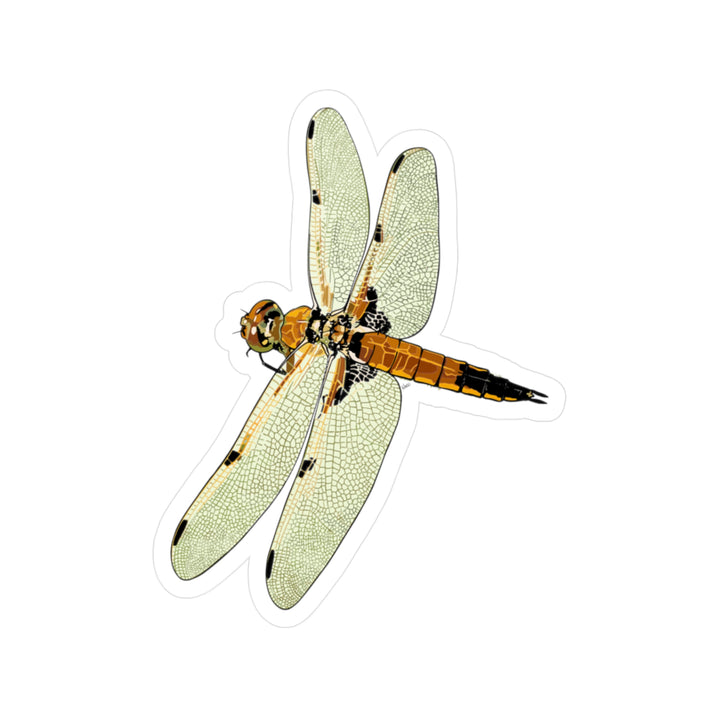 Fourspot Skimmer Dragonfly Vinyl Sticker — Kiss-Cut Waterproof Decal for Laptops, Windows & Water Bottles