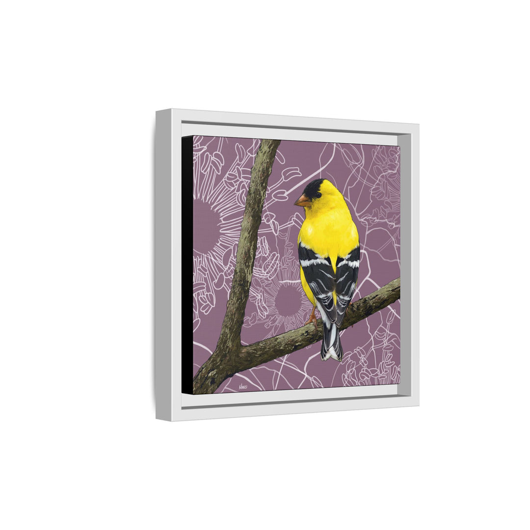 Goldfinch: Washington State Bird — Framed Canvas Print Wall Art