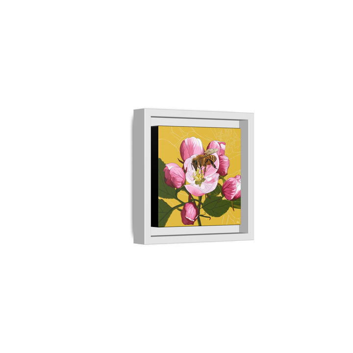 Apple Blossom & Honeybee Framed Canvas — Arkansas State Flower Wall Art