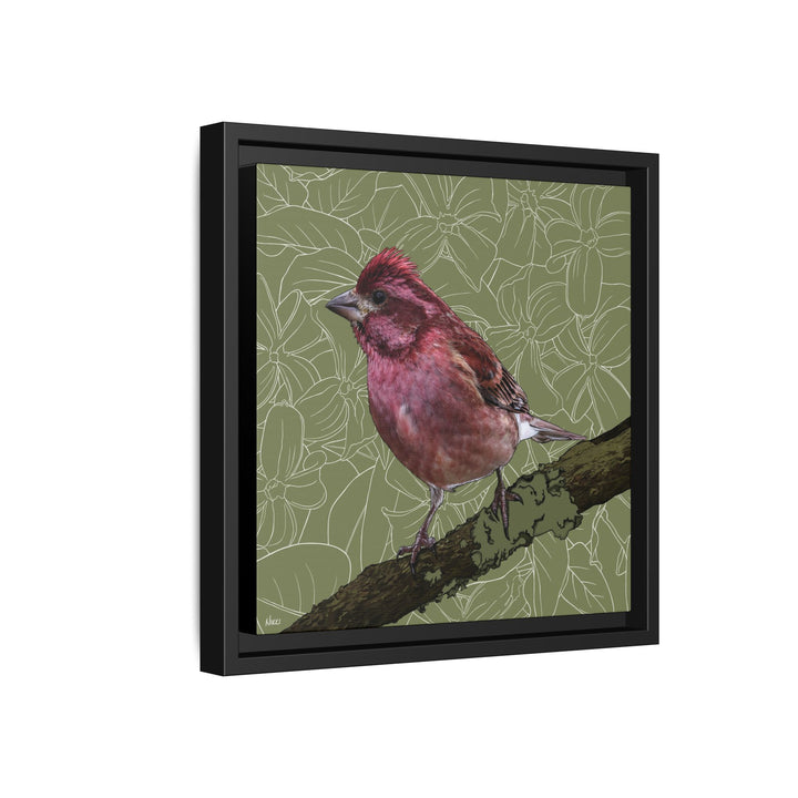 Purple Finch: New Hampshire State Bird — Framed Canvas Print Wall Art