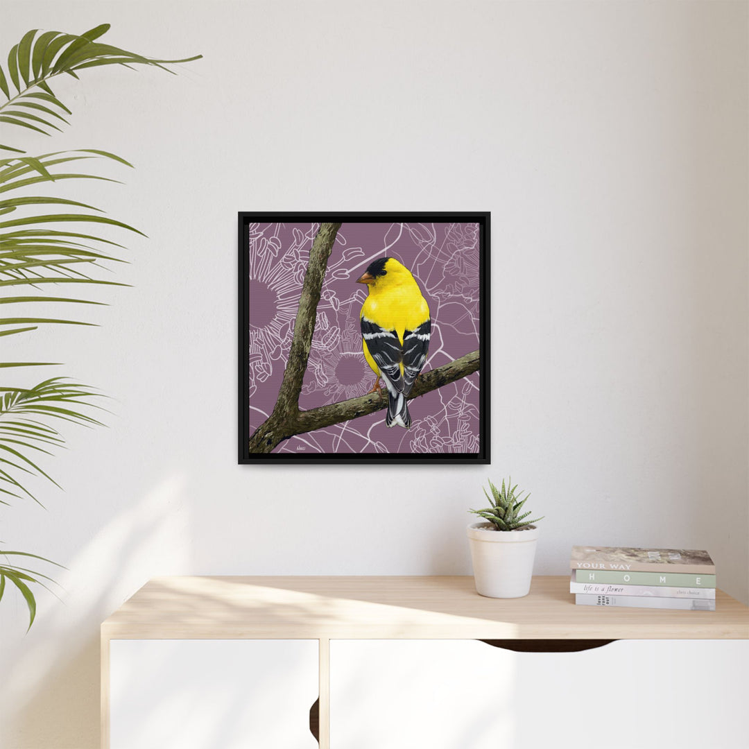Goldfinch: Washington State Bird — Framed Canvas Print Wall Art