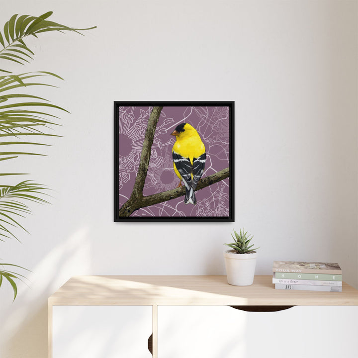 Goldfinch: Washington State Bird — Framed Canvas Print Wall Art