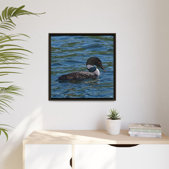 Common Loon: Minnesota State Bird — Framed Canvas Print Wall Art