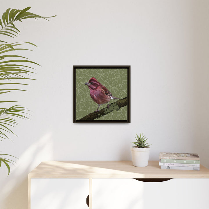 Purple Finch: New Hampshire State Bird — Framed Canvas Print Wall Art