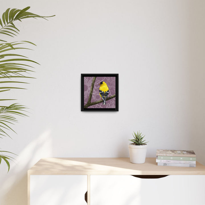 Goldfinch: Washington State Bird — Framed Canvas Print Wall Art