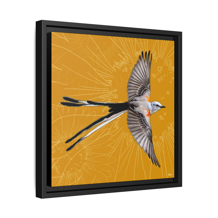 Scissor Tailed Flycatcher: Oklahoma State Bird — Framed Canvas Print Wall Art