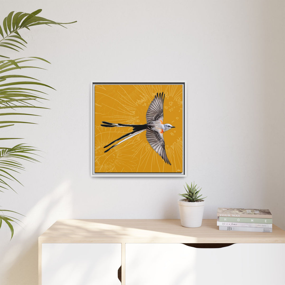 Scissor Tailed Flycatcher: Oklahoma State Bird — Framed Canvas Print Wall Art