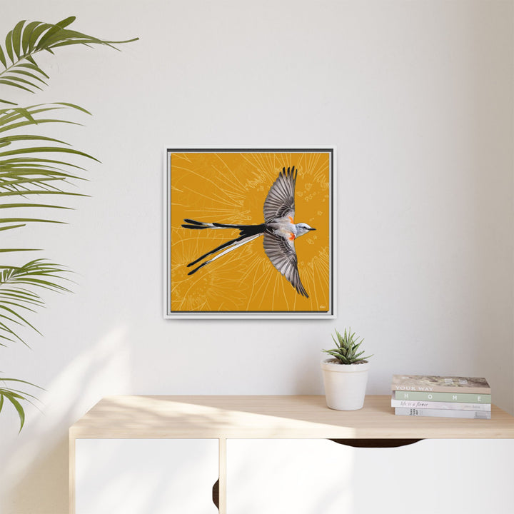 Scissor Tailed Flycatcher: Oklahoma State Bird — Framed Canvas Print Wall Art