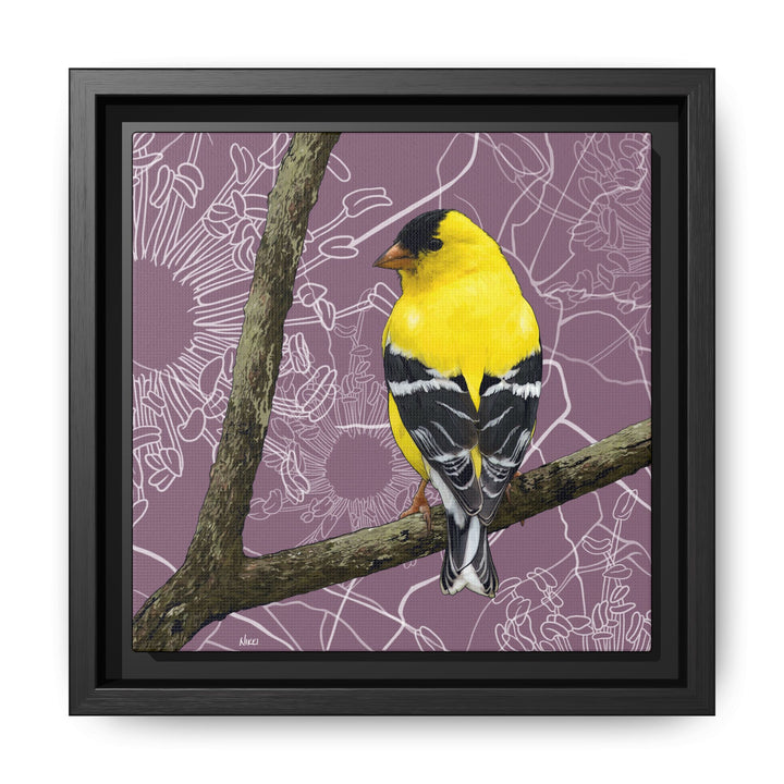 Goldfinch: Washington State Bird — Framed Canvas Print Wall Art