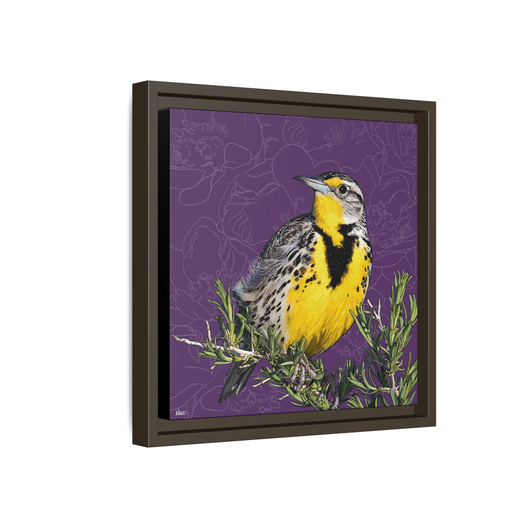 Western Meadowlark: North Dakota State Bird — Framed Canvas Print