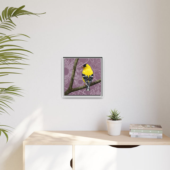 Goldfinch: Washington State Bird — Framed Canvas Print Wall Art