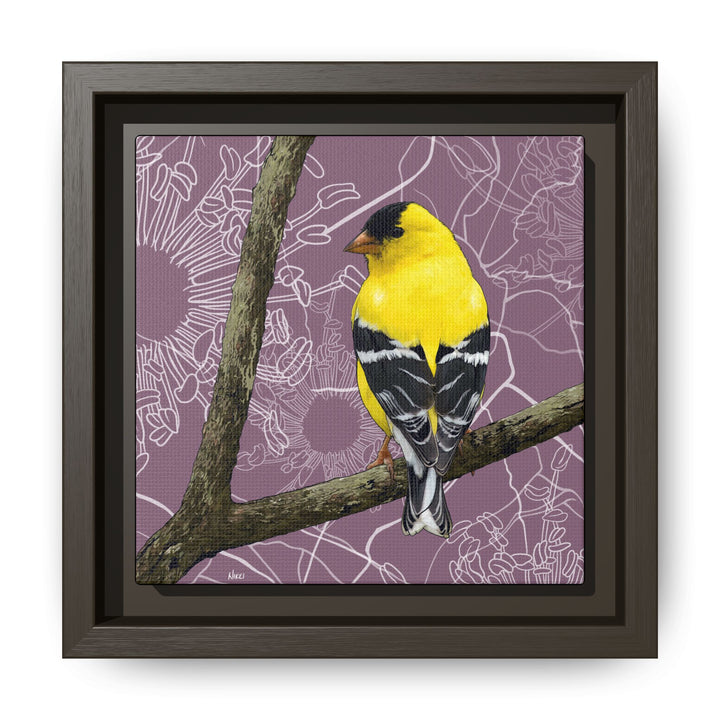 Goldfinch: Washington State Bird — Framed Canvas Print Wall Art