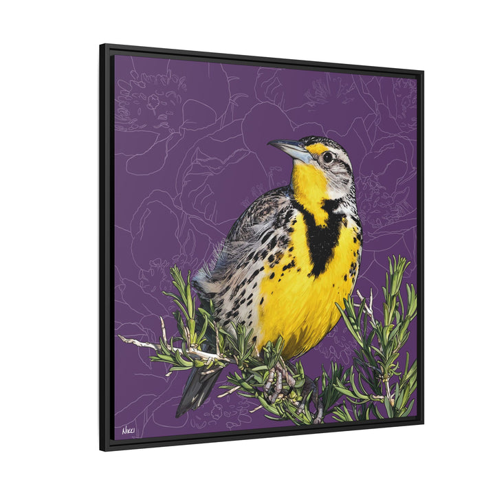 Western Meadowlark: North Dakota State Bird — Framed Canvas Print