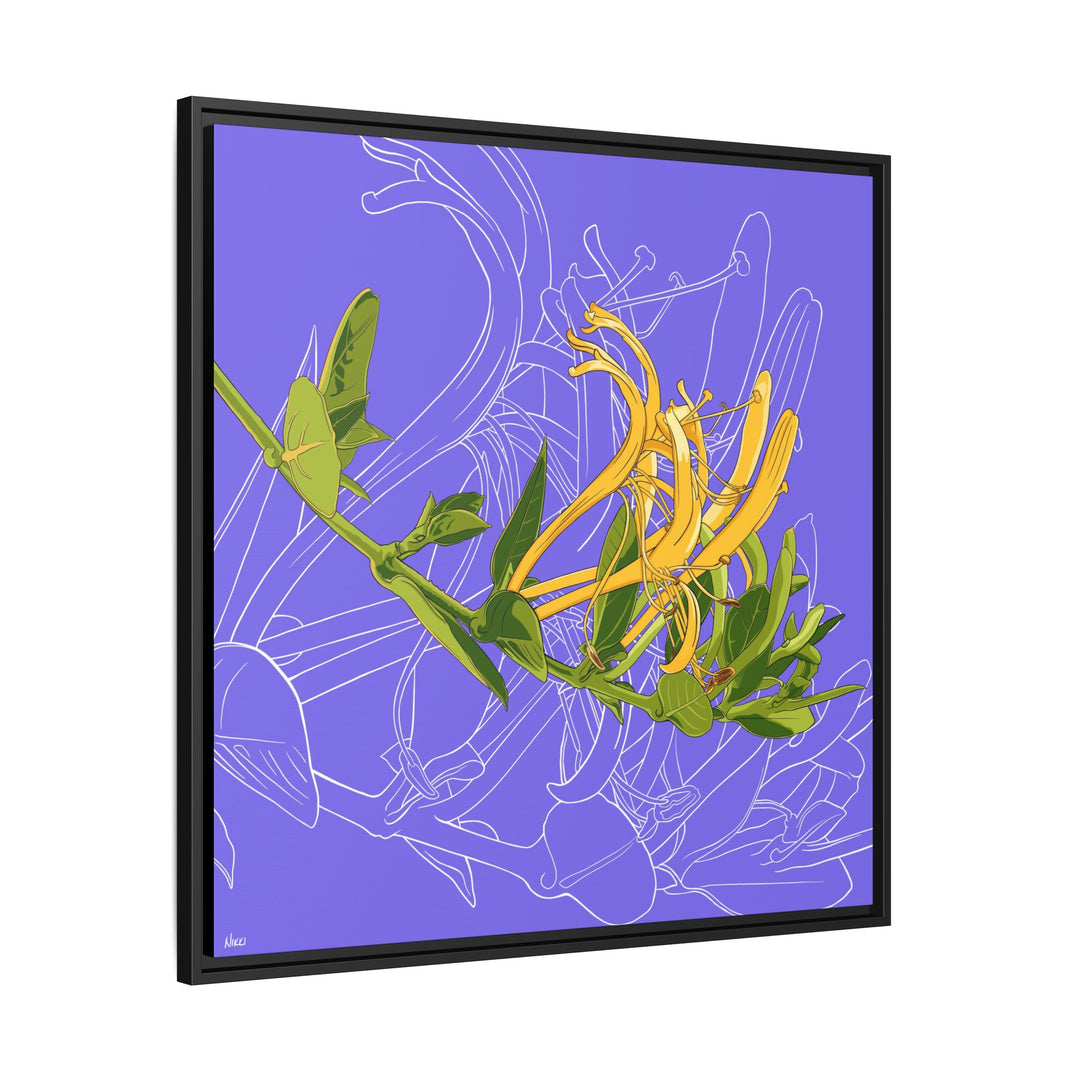 Honeysuckle: June Birth Month Flower — Framed Canvas Print Wall Art