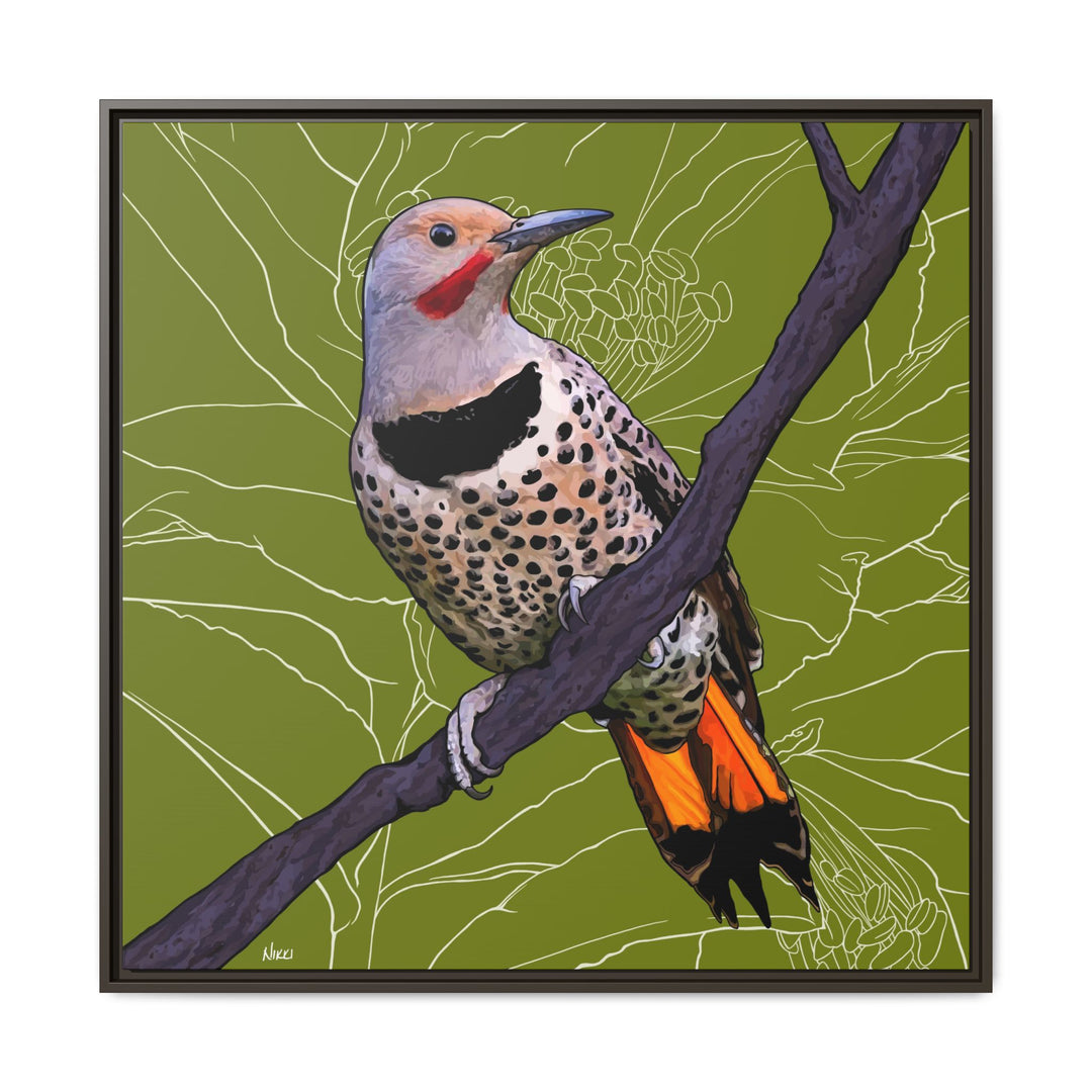 Northern Flicker (Yellowhammer): Alabama State Bird: — Framed Canvas Print Wall Art