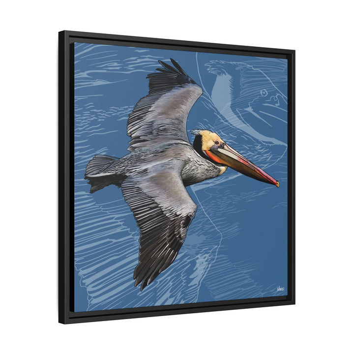 Brown Pelican: Louisiana State Bird  —  Framed Canvas Print