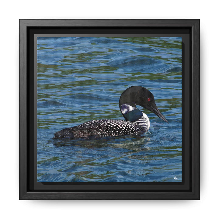 Common Loon: Minnesota State Bird — Framed Canvas Print Wall Art