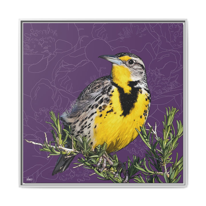 Western Meadowlark: North Dakota State Bird — Framed Canvas Print