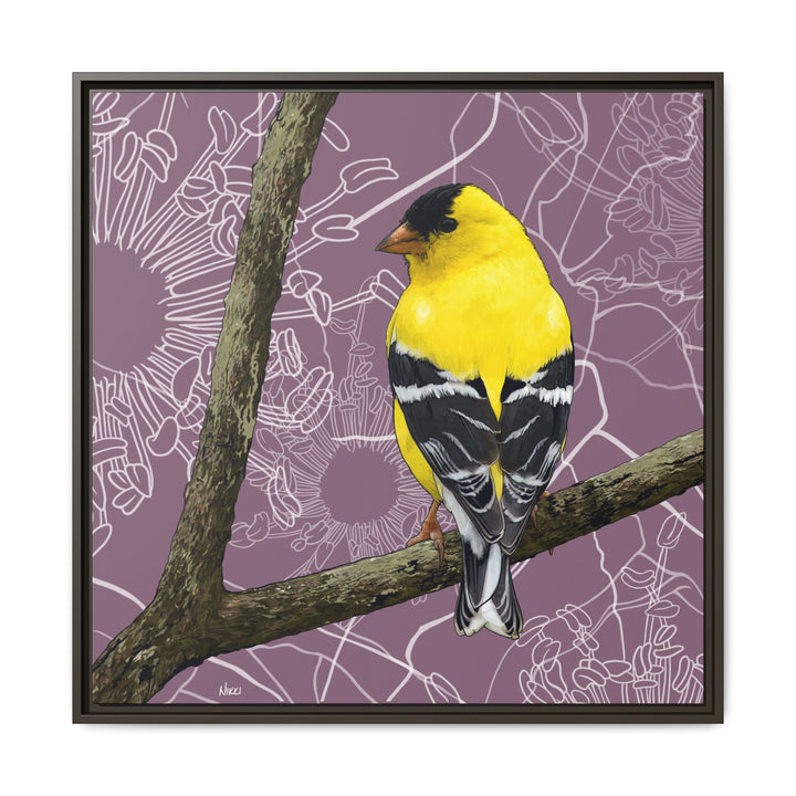 Goldfinch: Washington State Bird — Framed Canvas Print Wall Art