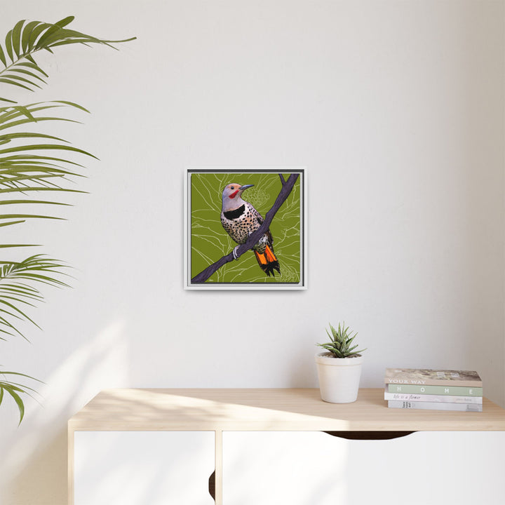Northern Flicker (Yellowhammer): Alabama State Bird: — Framed Canvas Print Wall Art