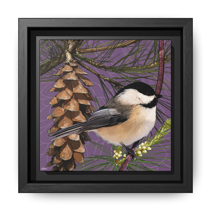 Black-capped Chickadee: Maine State Bird — Framed Canvas Print