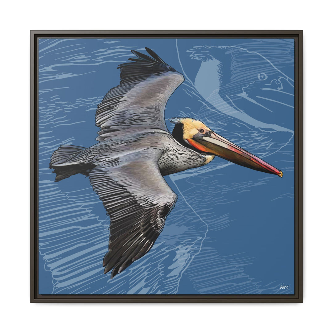 Brown Pelican: Louisiana State Bird  —  Framed Canvas Print