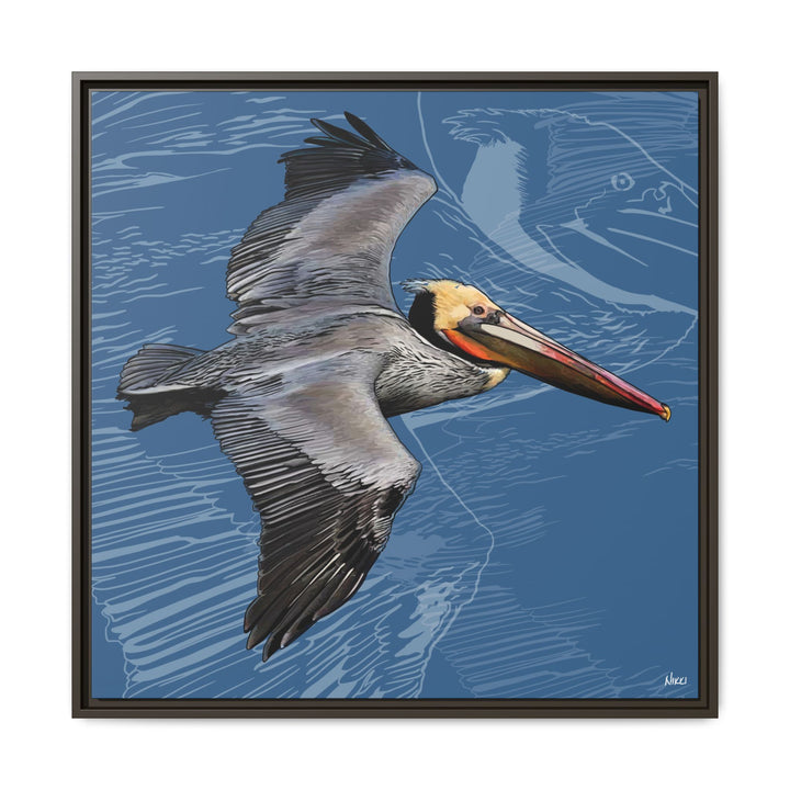 Brown Pelican: Louisiana State Bird  —  Framed Canvas Print