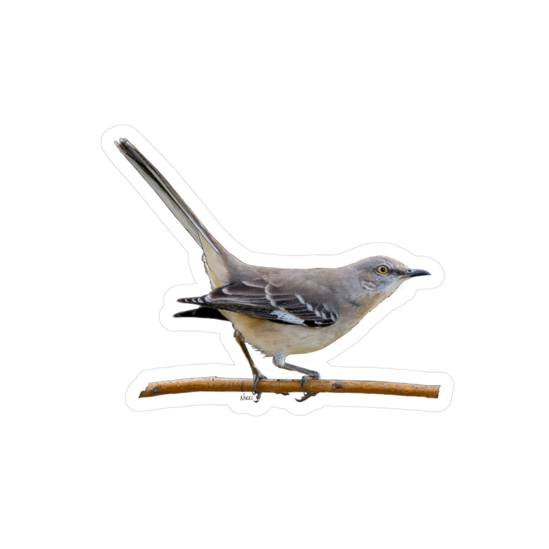 Mockingbird Vinyl Sticker – Realistic Bird Kiss-Cut Decal for Laptops, Water Bottles & Windows